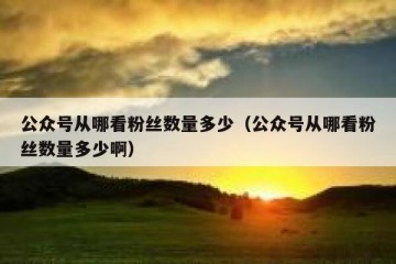 公众号从哪看粉丝数量多少（公众号从哪看粉丝数量多少啊）