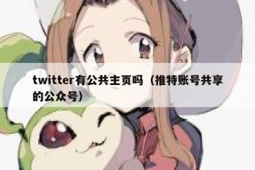 twitter有公共主页吗（推特账号共享的公众号）