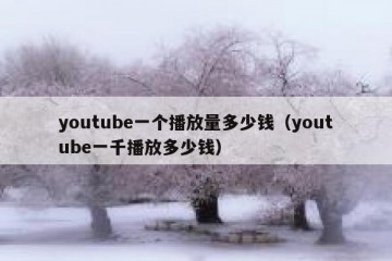 youtube一个播放量多少钱（youtube一千播放多少钱）