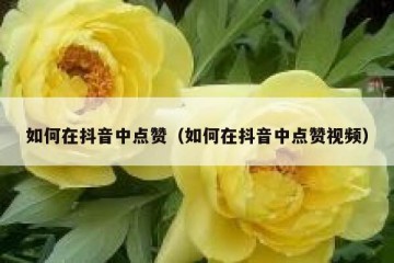 如何在抖音中点赞（如何在抖音中点赞视频）