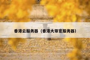 香港云服务器（香港大带宽服务器）