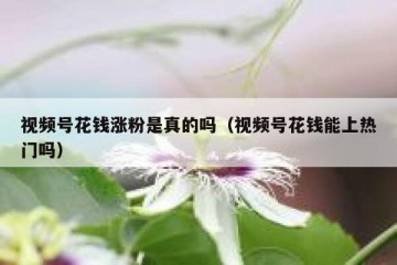 视频号花钱涨粉是真的吗（视频号花钱能上热门吗）