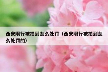 西安限行被拍到怎么处罚（西安限行被拍到怎么处罚的）