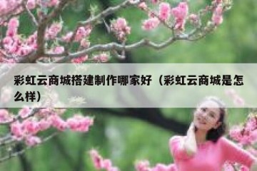 彩虹云商城搭建制作哪家好（彩虹云商城是怎么样）