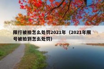 限行被拍怎么处罚2021年（2021年限号被拍到怎么处罚）