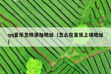 qq音乐怎样添加地址（怎么在音乐上填地址）