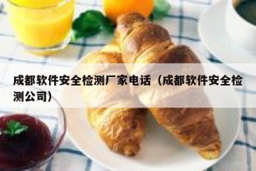 成都软件安全检测厂家电话（成都软件安全检测公司）