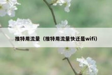 推特用流量（推特用流量快还是wifi）