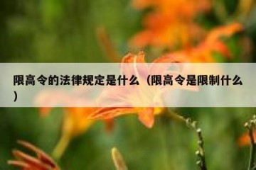 限高令的法律规定是什么（限高令是限制什么）
