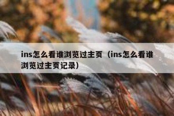 ins怎么看谁浏览过主页（ins怎么看谁浏览过主页记录）