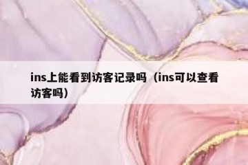 ins上能看到访客记录吗（ins可以查看访客吗）
