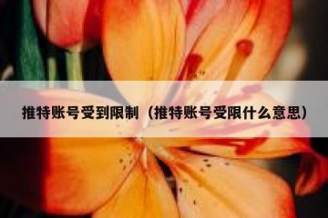 推特账号受到限制（推特账号受限什么意思）