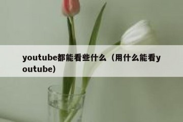 youtube都能看些什么（用什么能看youtube）