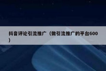 抖音评论引流推广（做引流推广的平台600）
