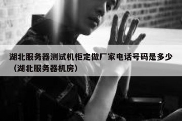 湖北服务器测试机柜定做厂家电话号码是多少（湖北服务器机房）