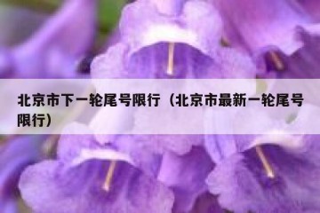 北京市下一轮尾号限行（北京市最新一轮尾号限行）