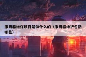 服务器维保项目是做什么的（服务器维护包括哪些）