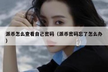派币怎么查看自己密码（派币密码忘了怎么办）