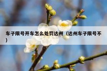 车子限号开车怎么处罚达州（达州车子限号不）