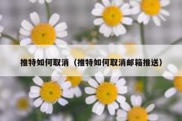 推特如何取消（推特如何取消邮箱推送）