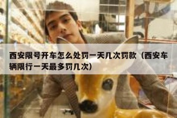 西安限号开车怎么处罚一天几次罚款（西安车辆限行一天最多罚几次）