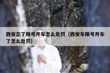 西安忘了限号开车怎么处罚（西安车限号开车了怎么处罚）
