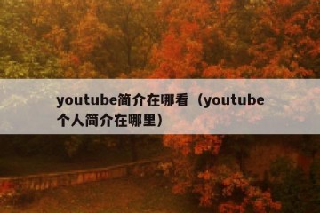 youtube简介在哪看（youtube个人简介在哪里）