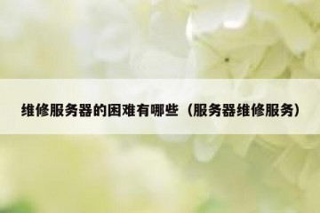 维修服务器的困难有哪些（服务器维修服务）