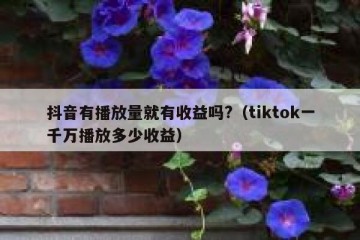 抖音有播放量就有收益吗?（tiktok一千万播放多少收益）