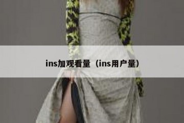 ins加观看量（ins用户量）