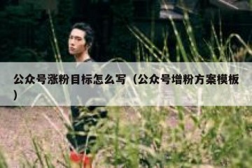 公众号涨粉目标怎么写（公众号增粉方案模板）
