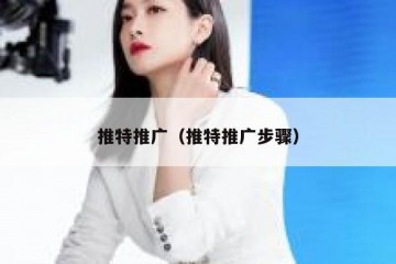 推特推广（推特推广步骤）