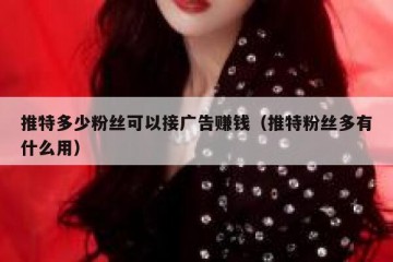 推特多少粉丝可以接广告赚钱（推特粉丝多有什么用）
