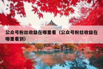 公众号粉丝收益在哪里看（公众号粉丝收益在哪里看到）