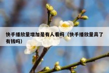 快手播放量增加是有人看吗（快手播放量高了有钱吗）