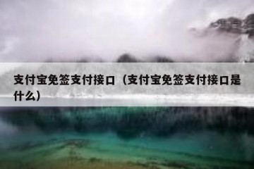 支付宝免签支付接口（支付宝免签支付接口是什么）