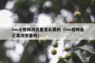 ins小视频浏览量怎么算的（ins视频自己算浏览量吗）