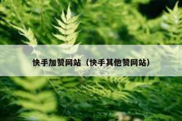 快手加赞网站（快手其他赞网站）