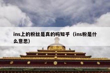 ins上的粉丝是真的吗知乎（ins粉是什么意思）