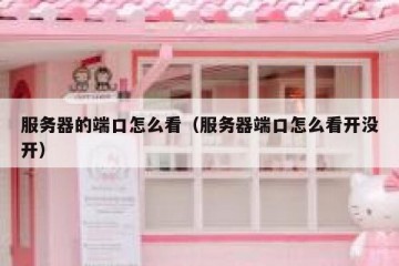服务器的端口怎么看（服务器端口怎么看开没开）