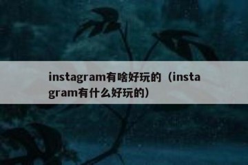 instagram有啥好玩的（instagram有什么好玩的）
