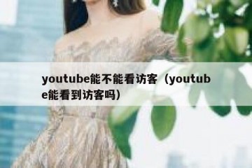 youtube能不能看访客（youtube能看到访客吗）
