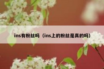 ins有粉丝吗（ins上的粉丝是真的吗）