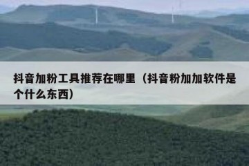 抖音加粉工具推荐在哪里（抖音粉加加软件是个什么东西）