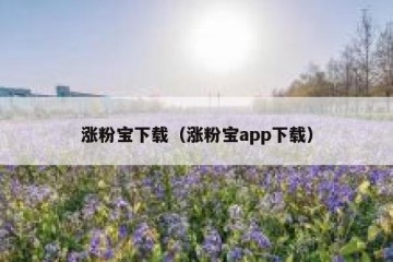 涨粉宝下载（涨粉宝app下载）