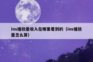 ins播放量收入在哪里看到的（ins播放量怎么算）