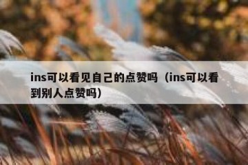 ins可以看见自己的点赞吗（ins可以看到别人点赞吗）