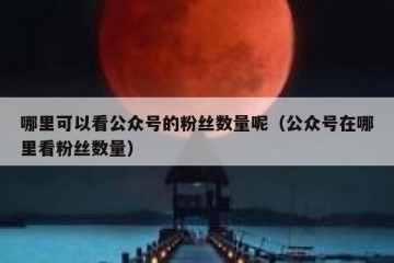哪里可以看公众号的粉丝数量呢（公众号在哪里看粉丝数量）