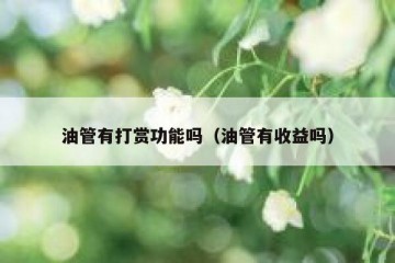 油管有打赏功能吗（油管有收益吗）
