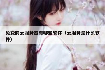 免费的云服务器有哪些软件（云服务是什么软件）